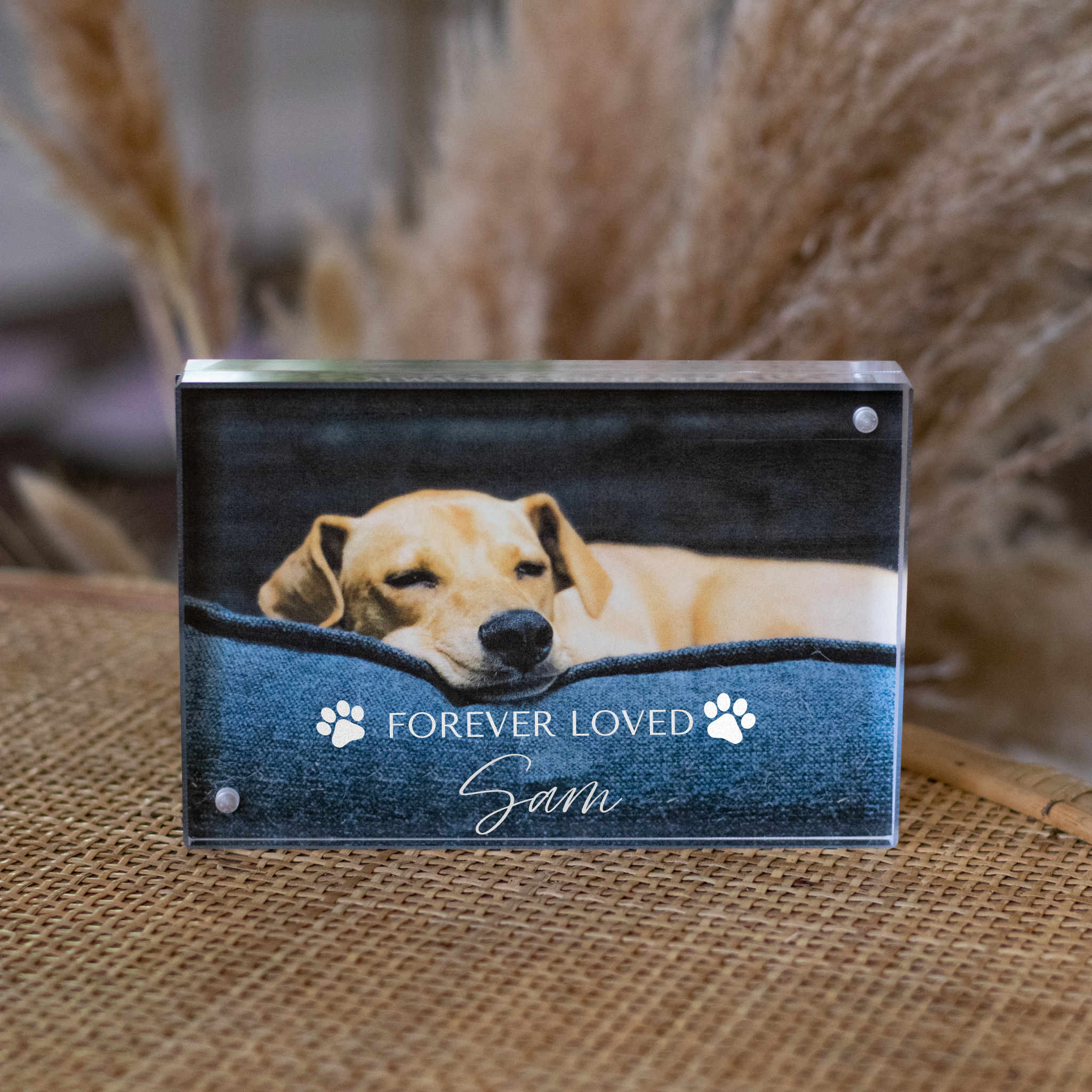 Pet Memorial Custom Photo Frame image number null
